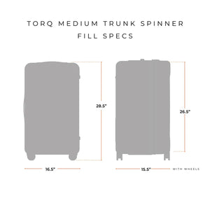 Briggs & Riley TORQ Collection Medium Trunk Spinner
